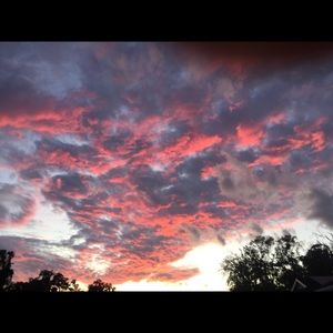 Meet your Posher, Xavier